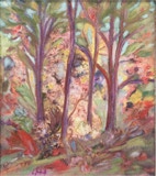 Der Zauberwald